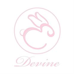 Devine Lingerie