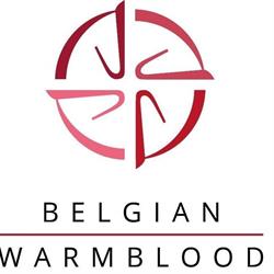 Bwp