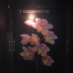 Resto Het Orchideetje