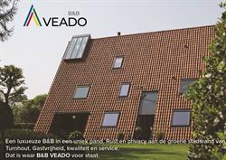 B&B Veado