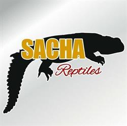 SACHA reptiles