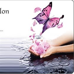 L'envol du papillon