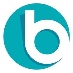 Bollen webdesign