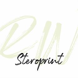 Steroprint