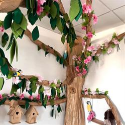 Kinderdagverblijf de droomboom