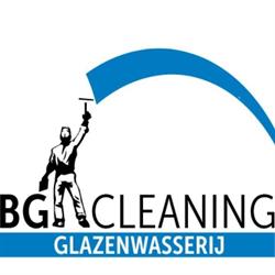 BGcleaning