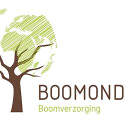 Boomonde