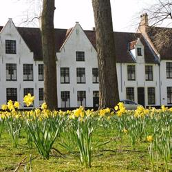 Vakantiehuis Brugge Centrum Kruitenberg 25
