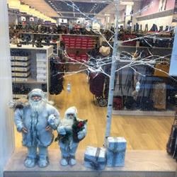 Saskia decock & co pronti waregem