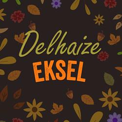 Proxy Delhaize Eksel.