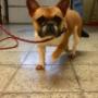 # 232