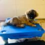 # 61