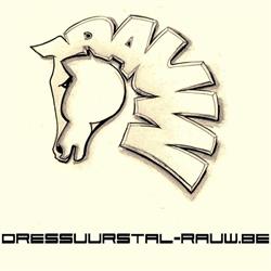 Dressuurstal Alain Rauw