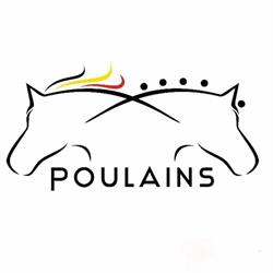Poulains