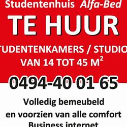 Kot Alfa-Bed