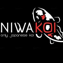 Niwa Koi
