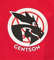 Basketbalclub Amon Jeugd Gentson