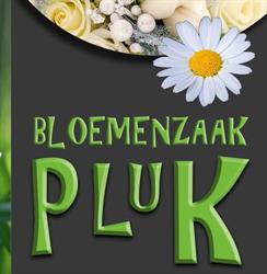 Pluk Wervik