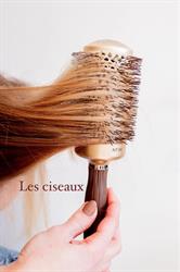 Les Ciseaux