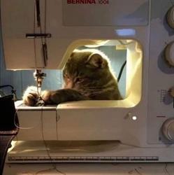 Atelier 't naaimandje