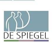 De Spiegel vzw