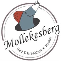 Mollekesberg