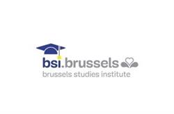 Brussels Studies Institute