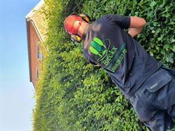 Breckx Algemeen Tuinonderhoud