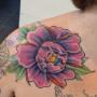 peony neo traditionnel couleur