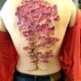 dos couleur aquarelle arbre