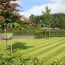Tuinwerken De Coninck