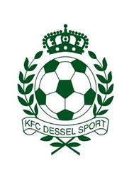 Dessel Sport K.F.C., Jeugdterreinen Brasel