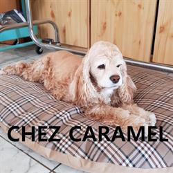 Chez Caramel