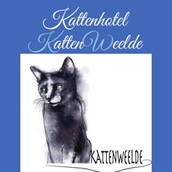 Kattenhotel Kattenweelde