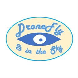 DroneFly