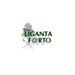 Liganta Forto Heule