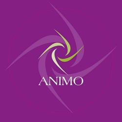 Animo (Training en Coaching)