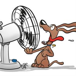 airco voor iedereen