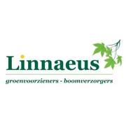 Linnaeus