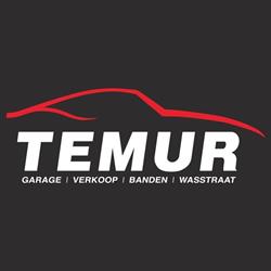 Temur Garage