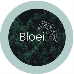 Bloei - Sarah Mortelé