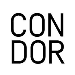Condor Development