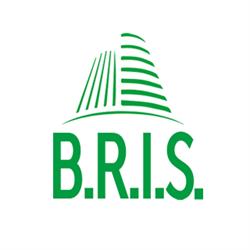 B.R.I.S.