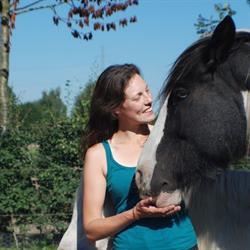 Het paardenbos