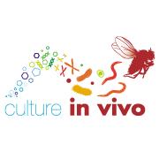 Culture In Vivo