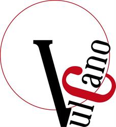 Vulcano Consulting