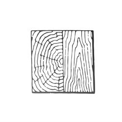 D&D Wood