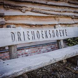 Driehoekshoeve