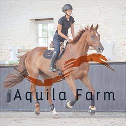 Aquila Farm - Aurélie De Mévius Parelli Professional