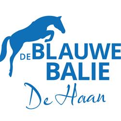 De Blauwe Balie